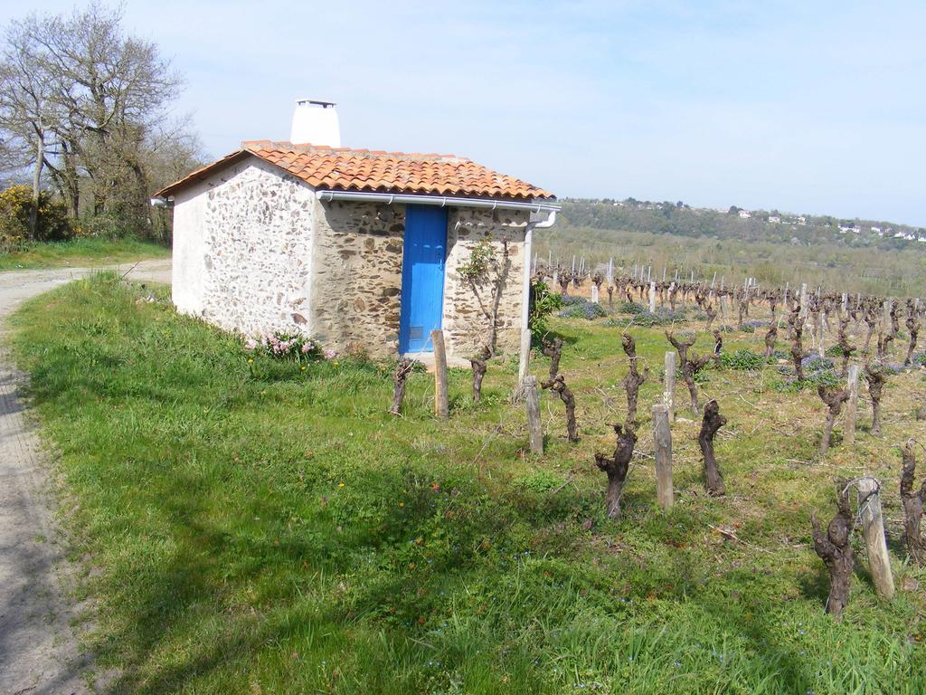 Chambres D'Hotes Vignes Et Loire Drain Habitación foto